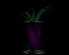 ~ScB~Reflect MoonPlant