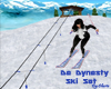 Da Dynasty Ski Set Anim.
