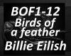 Birds of a Feather