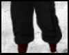 TENGEN UZUI PANTS