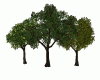 Add- On Trees