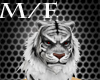 Tiger Warrior Head White