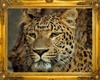 leopard picture