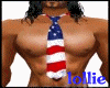 USA flag~xo~hot tie