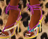 DS2 Dolly