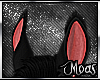 ~Black Horse Ears V3~