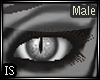 (IS)Grey Cat Eyes Male