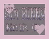 Sum Bunny Hair C