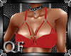 {Q}BRA LACE~RED 4