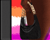 C. Bag R