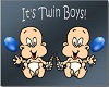 its twin boys