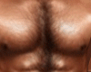 sexy hairy chest skin