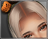 !MD Pumpkin HB. V2 - DRV