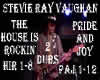 stevie ray vaughan 2 DUB