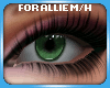 Allie eyes - L Emerald