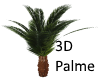 Palme-3D