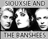 Siouxsie & the Banshees