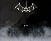 bat wings .