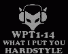 HARDSTYLE-WHAT I PUT YOU