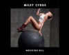 Wrecking Ball Parody