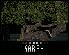 4K .:Inmortal Tree:.