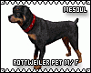 Rottweiler Pet M/F