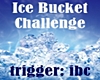 Ice Bucket Challenge 