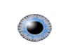 Female blue gray eye