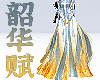 韶华赋