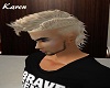 Drake ~ Blonde Streak
