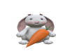 Rabbit whit carrot