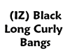 (IZ) Black Curly Bangs