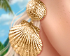 🌞 Sea Shell Earrings