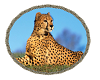 Rug Circular Leopard