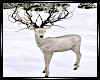Christmas Deer