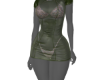 Green Sheer S/Dress