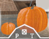 Small Pumpkins Decor