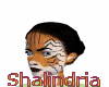 Shalindria Tiger head