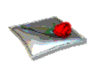 3D rotating rose