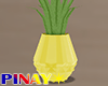 Pineapple Planter - Y