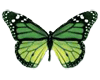 Animated butterfly2