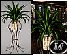 ~M~ Club Plant No3