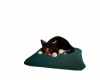 {LS} Sleeping Pillow Cat