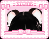beary cute