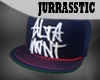 J' AltaMint Fitted Navy