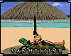 (VH) Beach Umbrella  /G
