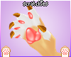 . Pip | Paws