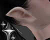 | Elf Fantasy