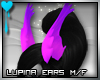 D~Lupina Ears: Purple