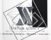 Virtual Agency 2